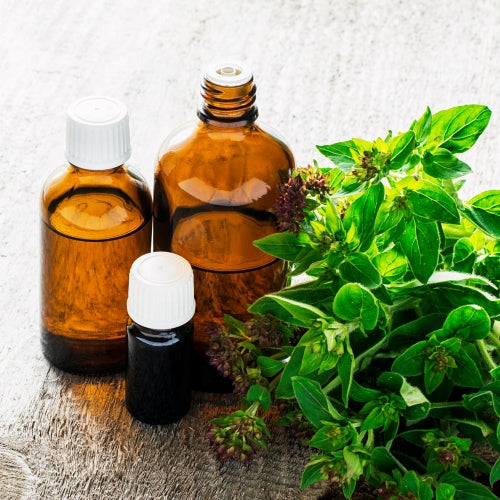 Nurture Handmade Fragrance Oil Blends