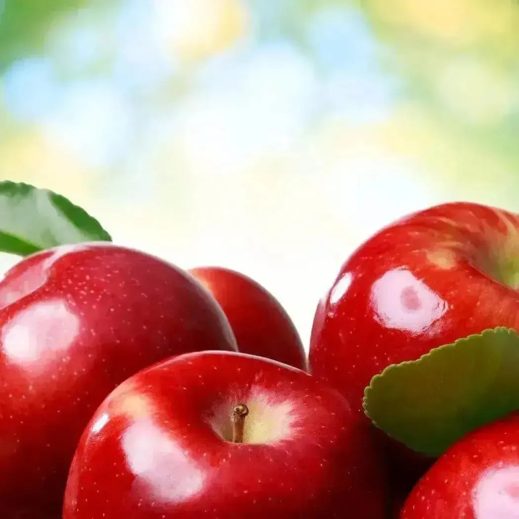 Shiny red apples with green leaves in Apple Fragrance Oil 2.0