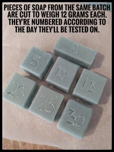 Cut pieces of cold process soap weighed at 12 grams each, numbered for testing days.