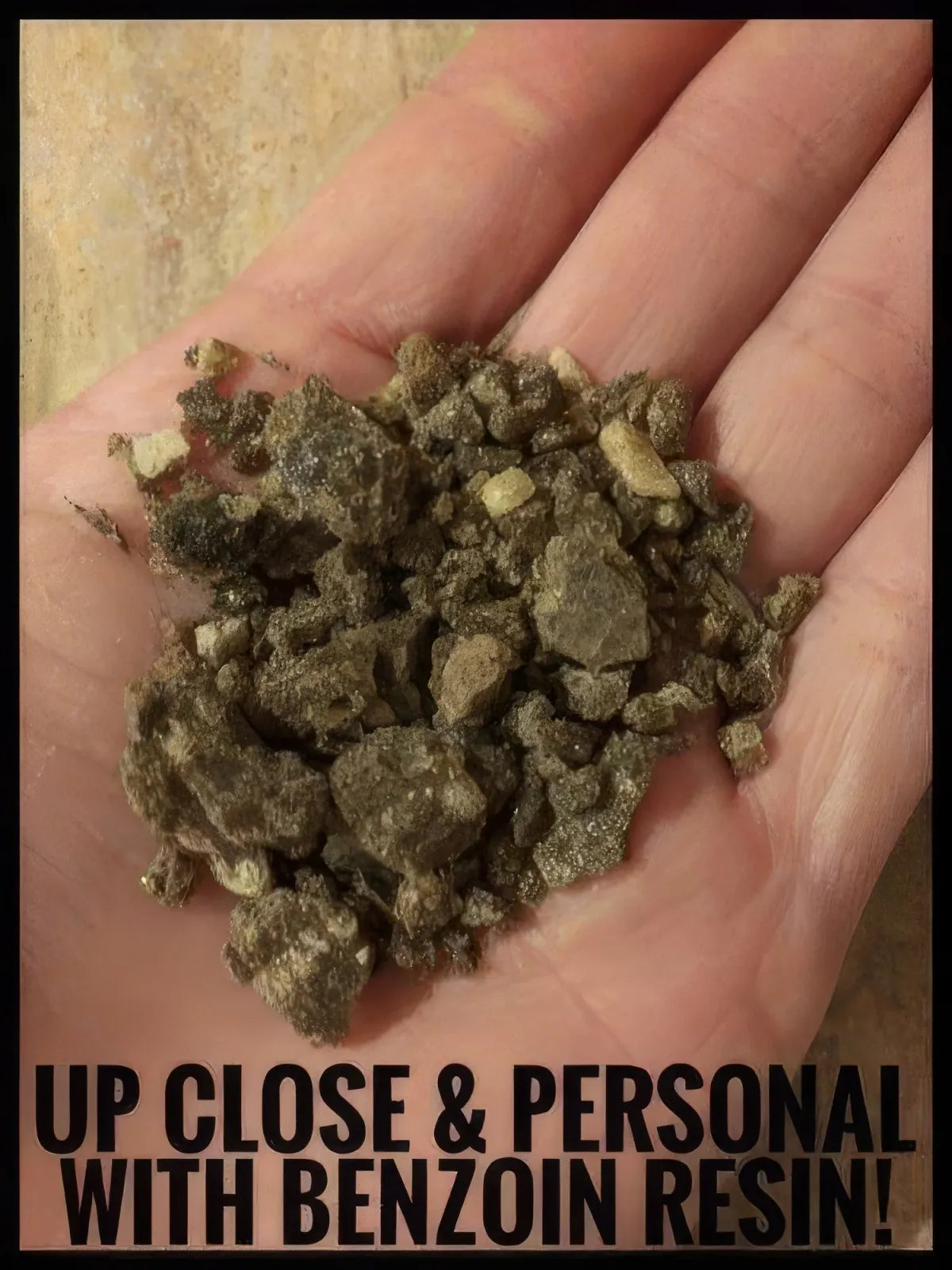 Open palm holding crushed brown benzoin resin granules