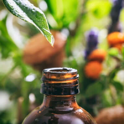 Fragrance Oils