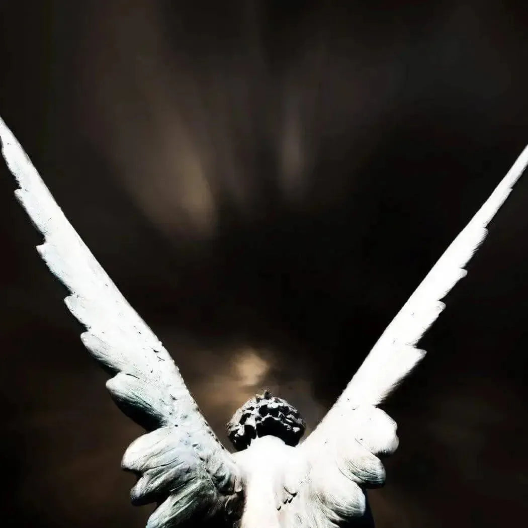 White stone angel statue with detailed wings for Anarchy Fragrance Blend