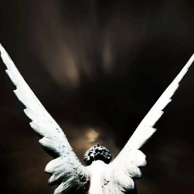 Stone angel statue's outstretched white wings against dark sky