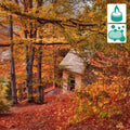 Quaint stone cottage with gray roof amid autumn trees, Autumn Equinox Fragrance Blend