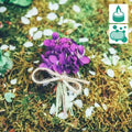 Delicate purple violets bouquet tied with twine for Beltane Fragrance Blend
