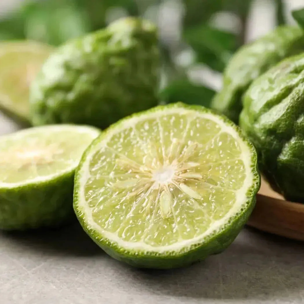 Vibrant green bergamot fruit halved, revealing juicy interior for essential oil