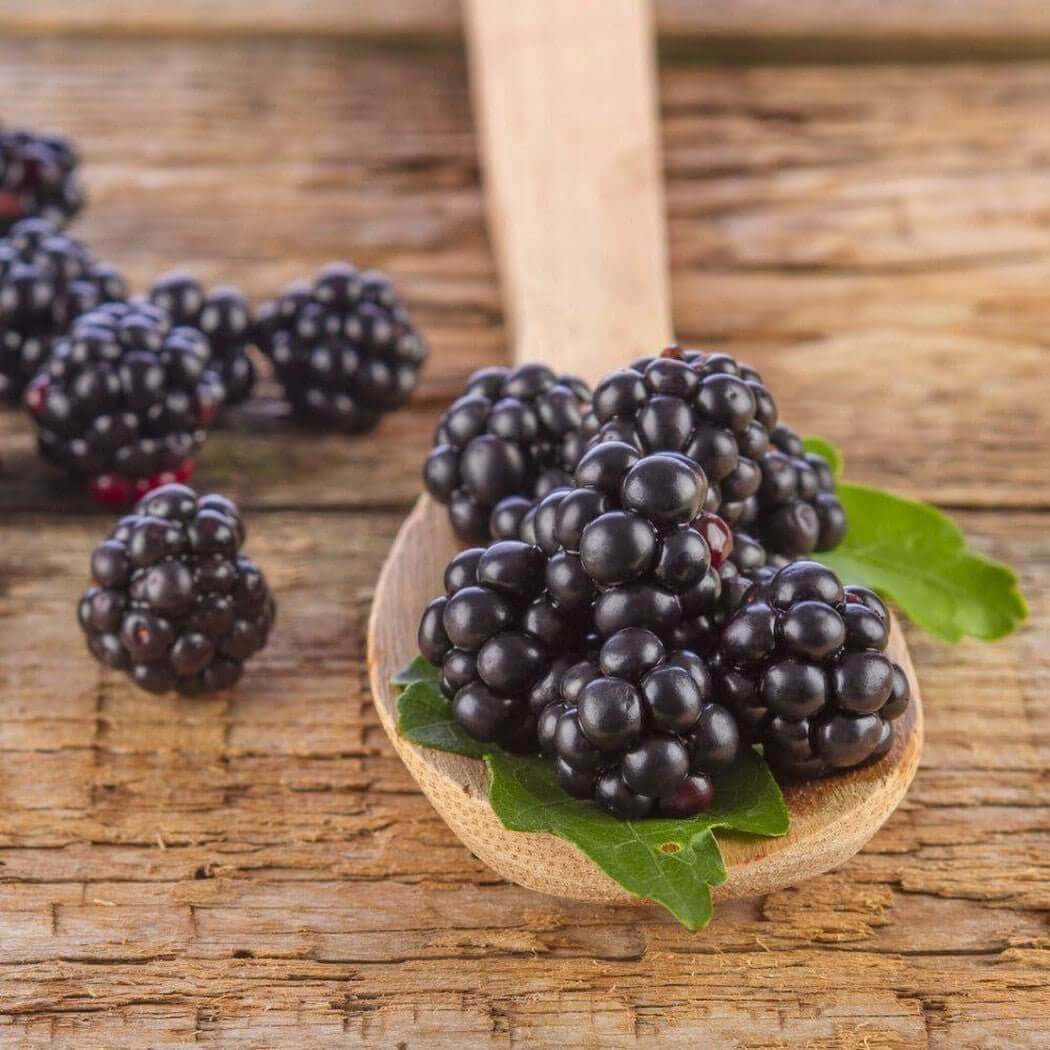 Fresh blackberries on a wooden spoon with green leaves on a rustic wooden table.