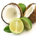 Coconut Lime Verbena Fragrance Blend with Pineapple, Peach and Musk