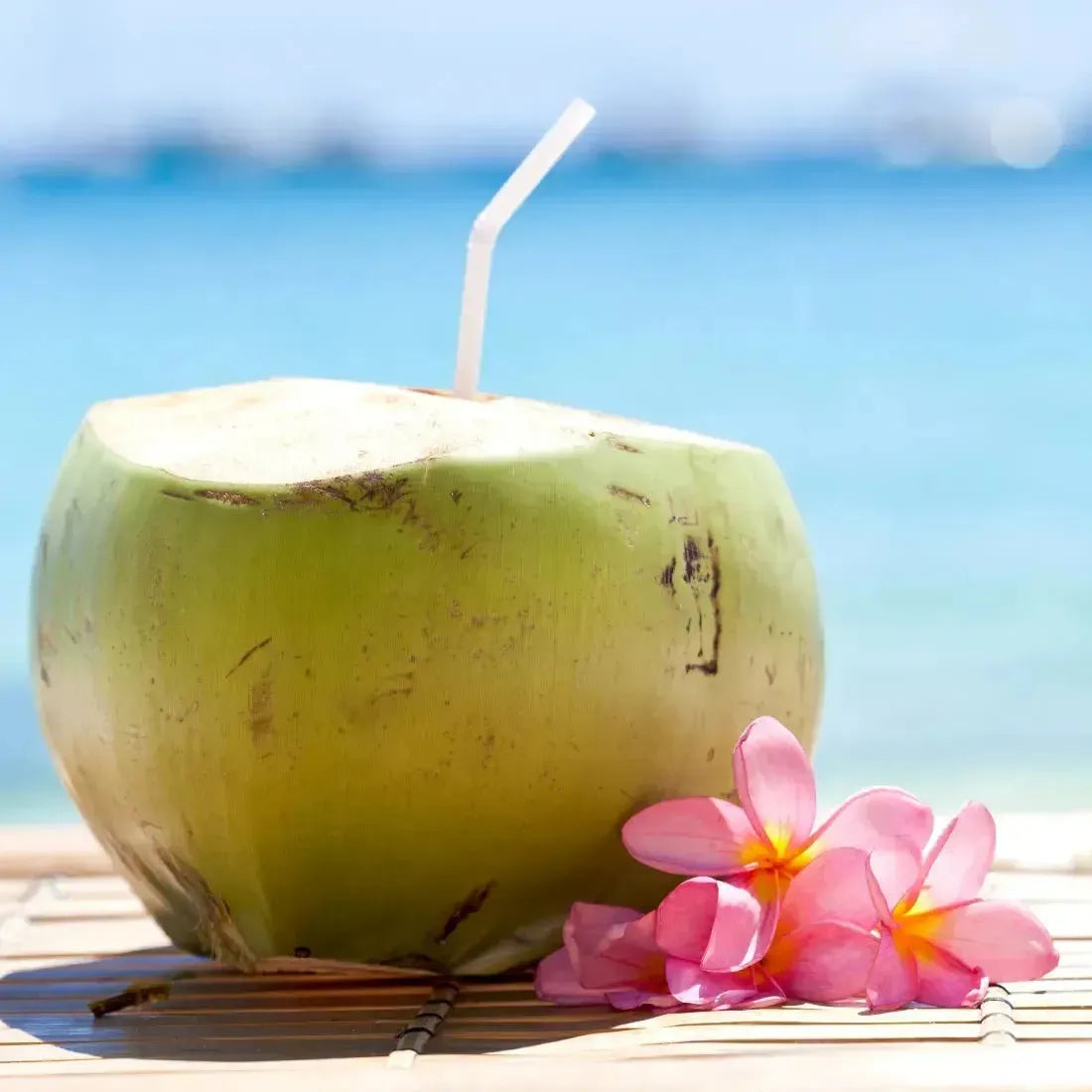 Fresh green coconut with straw beside pink frangipani for Coconut + Praline Fragrance Oil