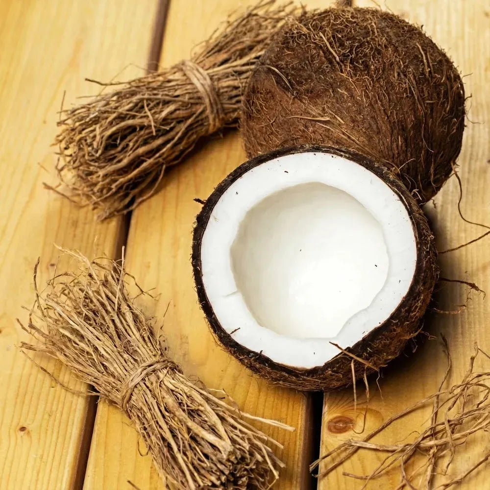 Coconut + Vetiver Fragrance PS