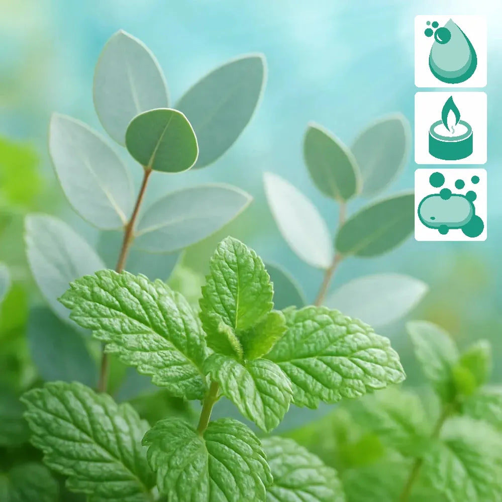 Eucalyptus + Mint Fragrance PS