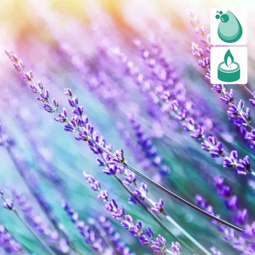 Herbalicious Fragrance PS