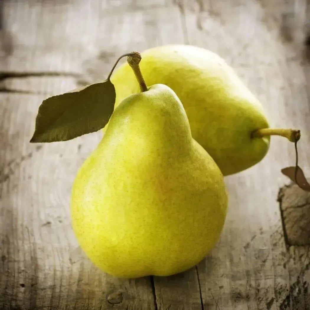 Two ripe yellow-green pears with stems on wood for Juicy Pear Fragrance Oil