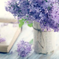 Lilac blossoms fragrance oil in rustic vase with lavender flowers