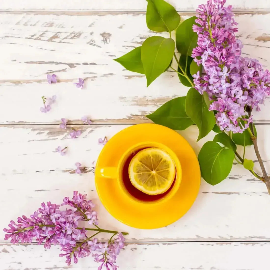 Vibrant yellow ceramic teacup and saucer with lemon slice in Lilac + Lemon tea