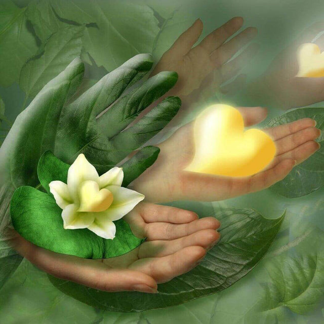 Hands holding glowing heart and flower symbolizing nurture and growth, handmade nature-themed background with green leaves.