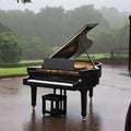 Black Steinway grand piano with open lid, golden interior and keys for Power Ballad Fragrance Blend