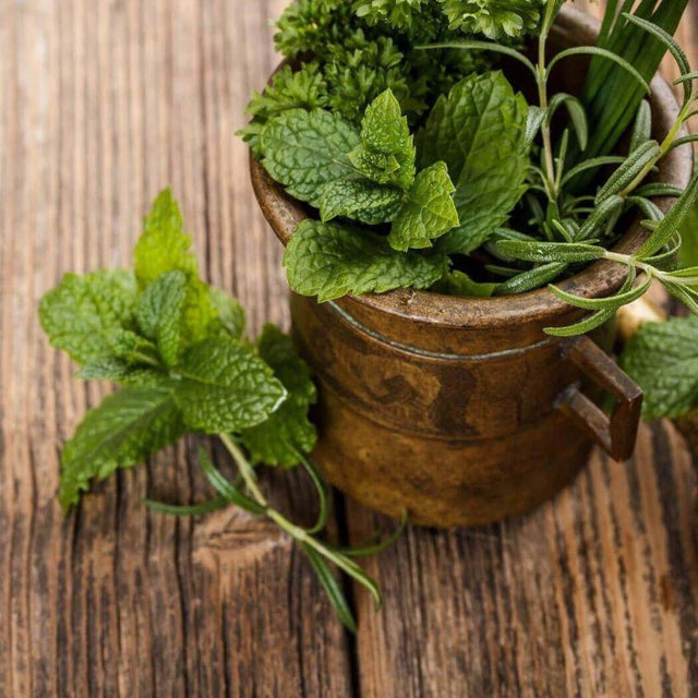 Fresh herbs in a rustic ceramic pot on a wooden table, highlighting natural ingredients and nurturing handmade practices.