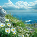 Vibrant white daisies with yellow centers bloom on rocky coastal cliff for Sea Flower Fragrance Blend