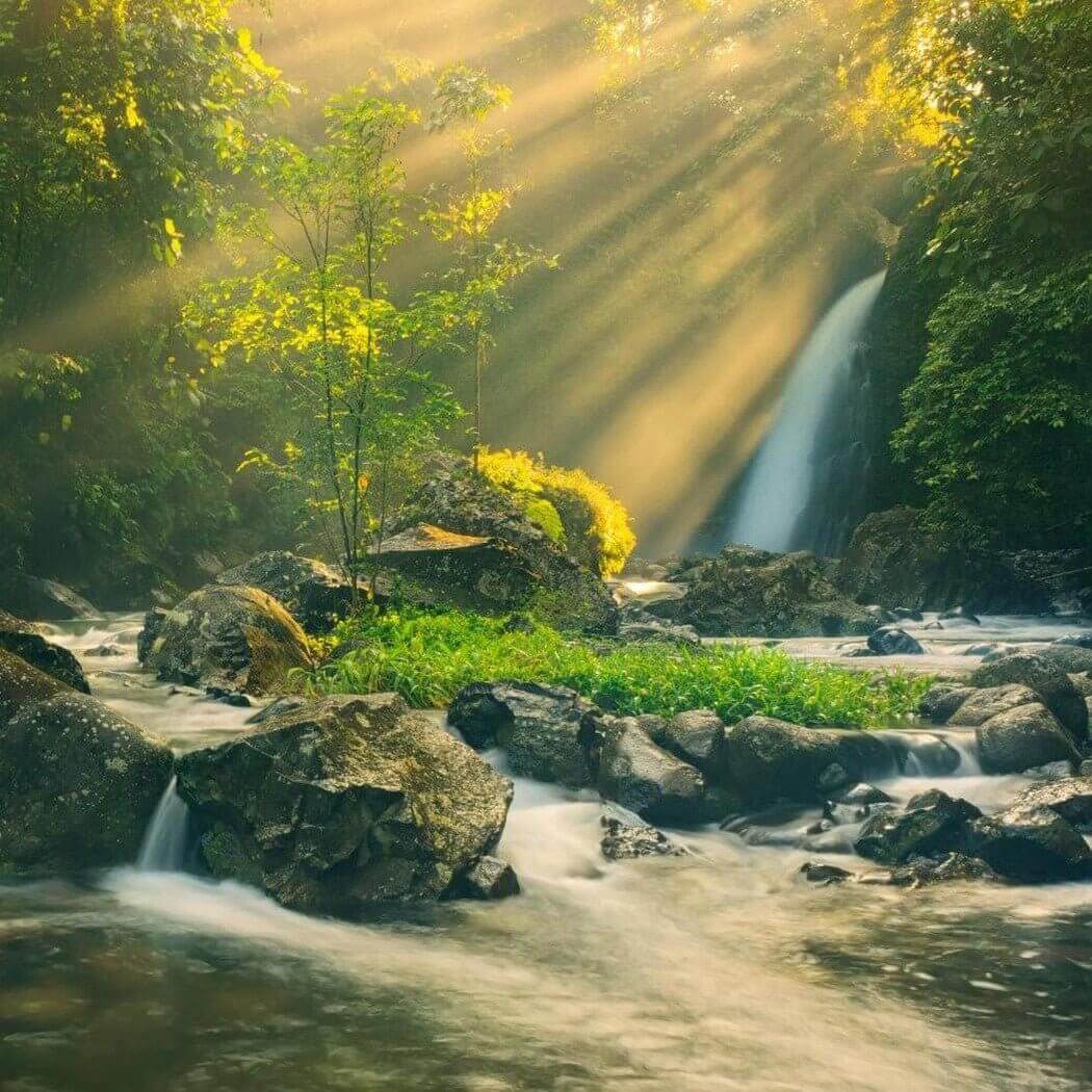 "Sunlit forest stream with cascading waterfall and vibrant greenery, showcasing the natural beauty of a serene landscape perfect for nature enthusiasts"