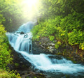 Serenity Fragrance Blend: cascading waterfall over mossy rocks in lush ferns
