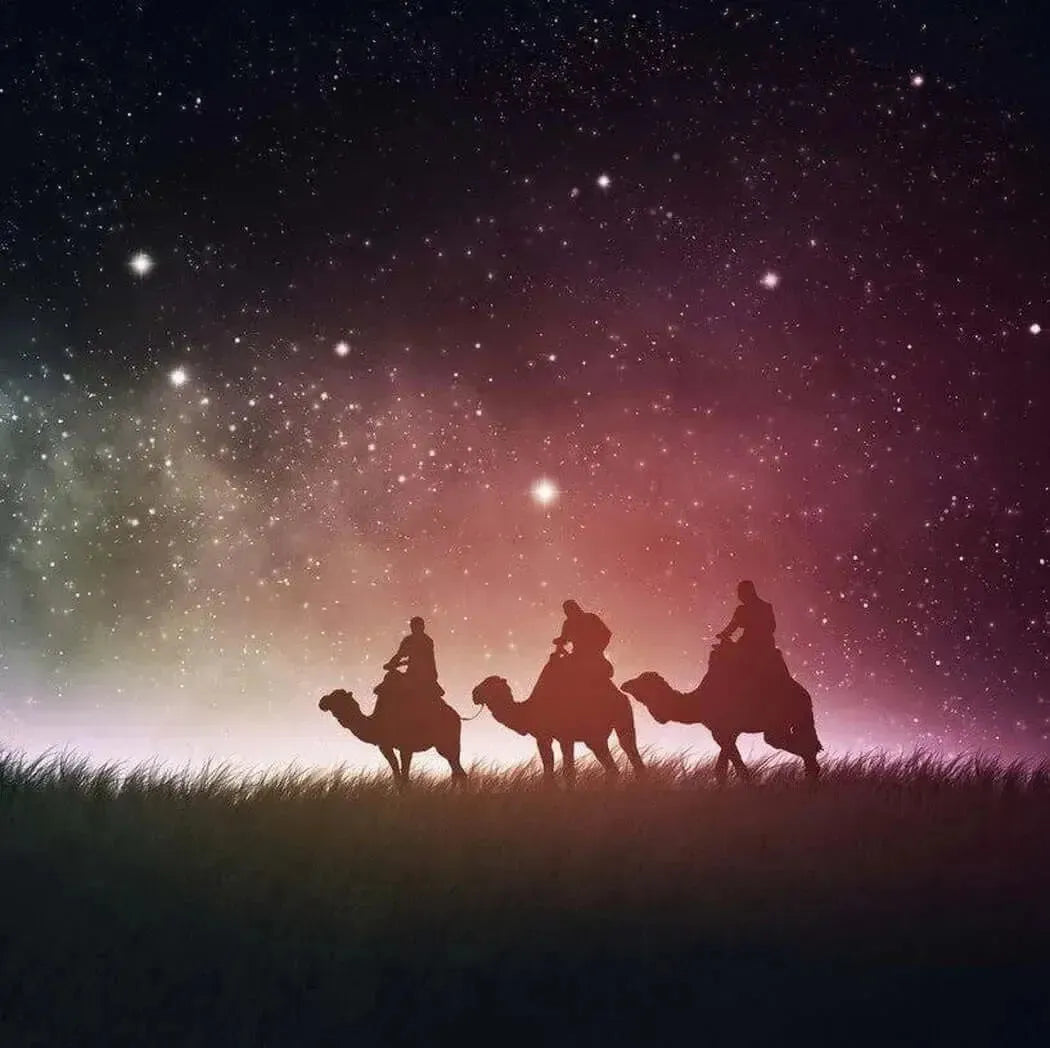 Silhouetted three camels with riders crossing grassy field under starry sky